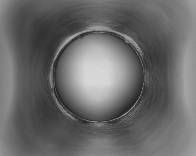 X0000116381295200912091407