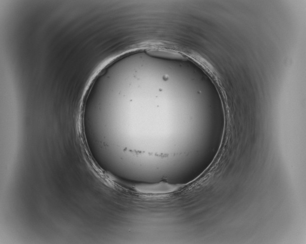 X0000116381296200912091407