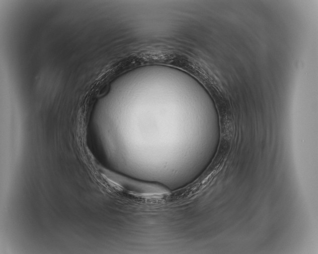 X0000116381297200912091406