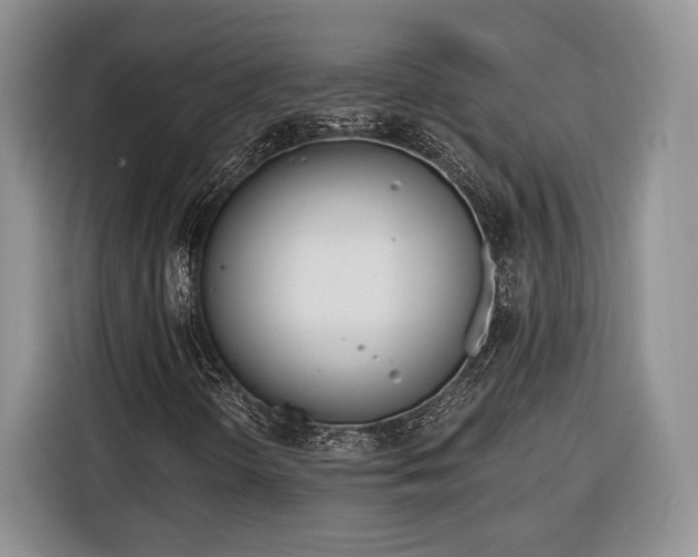 X0000116381298200912091406
