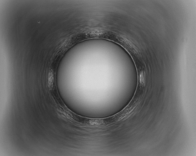 X0000116381299200912091406