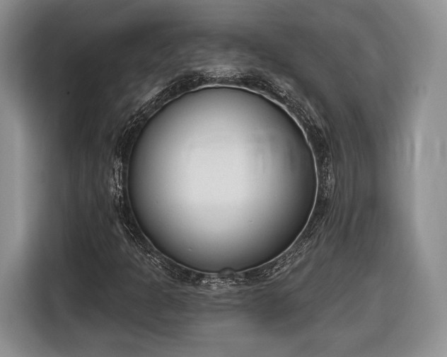 X0000116381301200912091406