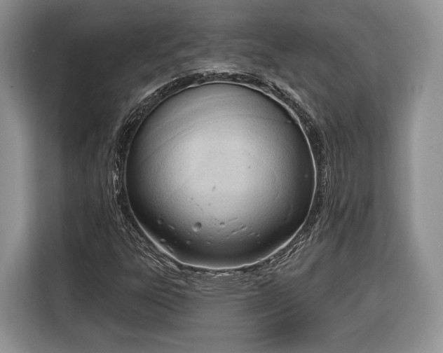X0000116381303200912091406