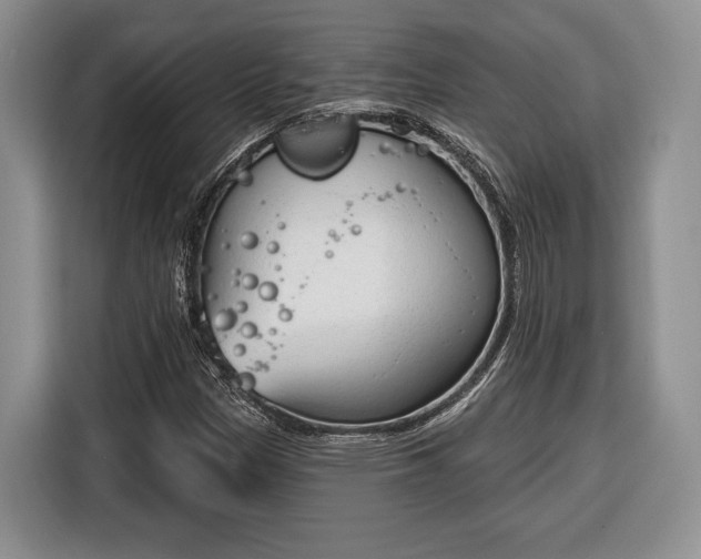 X0000116381305200912091406