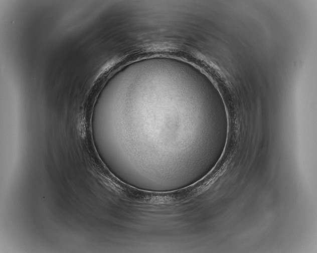 X0000116381306200912091406