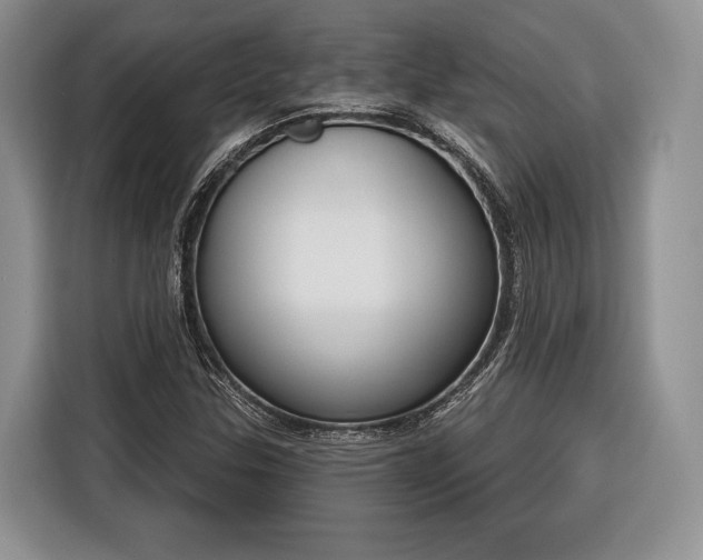 X0000116381307200912091406