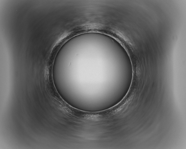 X0000116381309200912091406