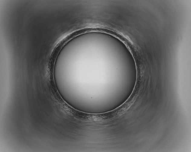 X0000116381311200912091406