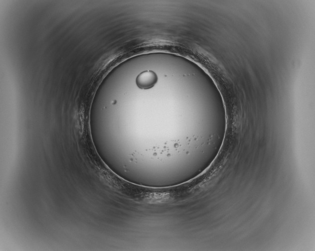 X0000116381313200912091406