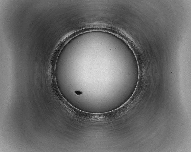 X0000116381315200912091406