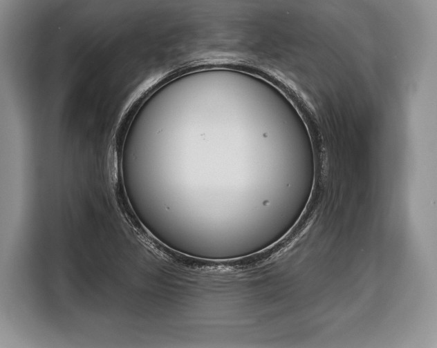 X0000116381317200912091406