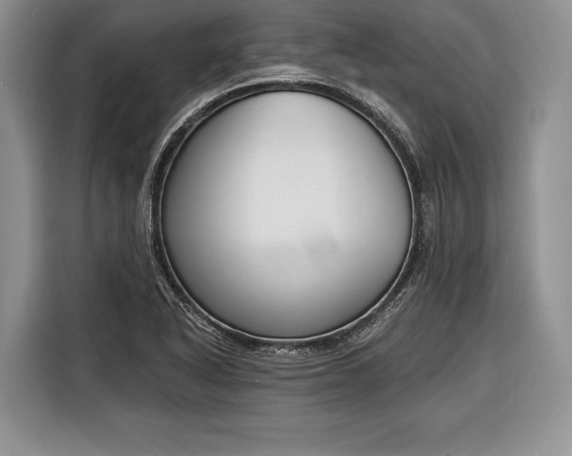 X0000116381318200912091407