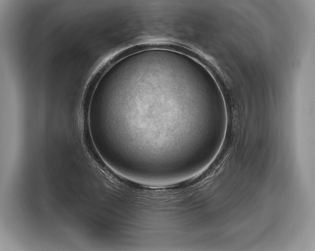 X0000116381319200912091407