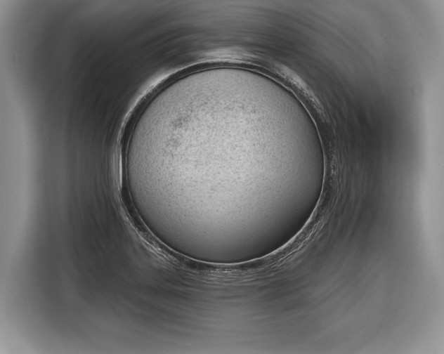 X0000116381323200912091407