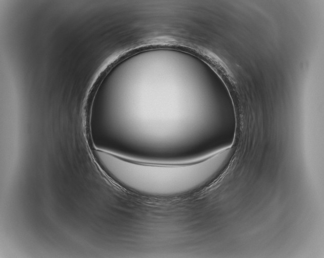 X0000116381326200912091407