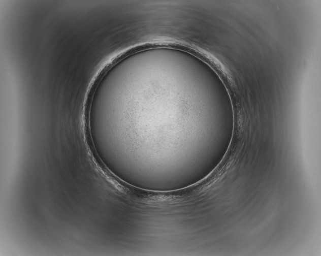 X0000116381327200912091407