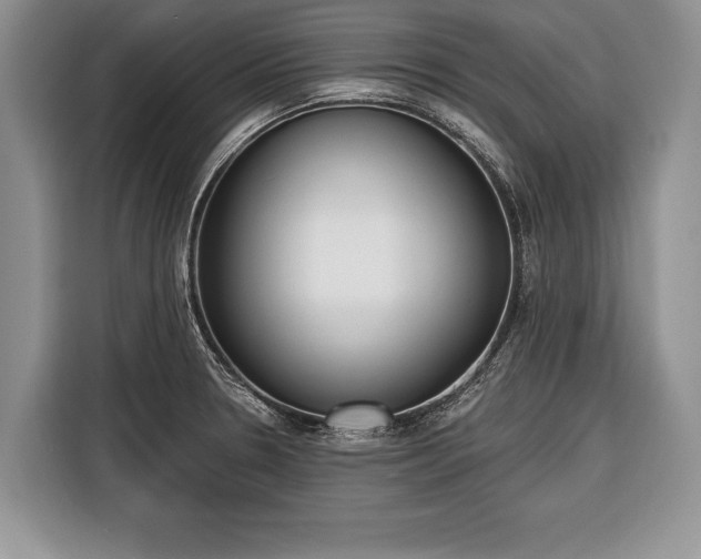 X0000116381330200912091407