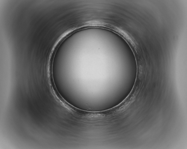 X0000116381331200912091407