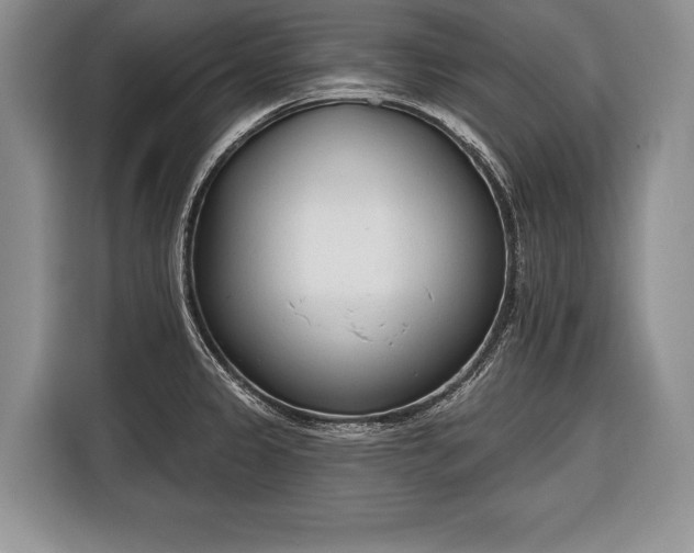 X0000116381333200912091407