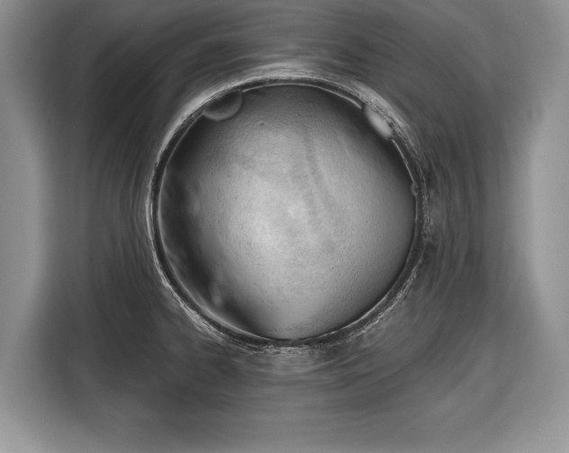 X0000116381334200912091407
