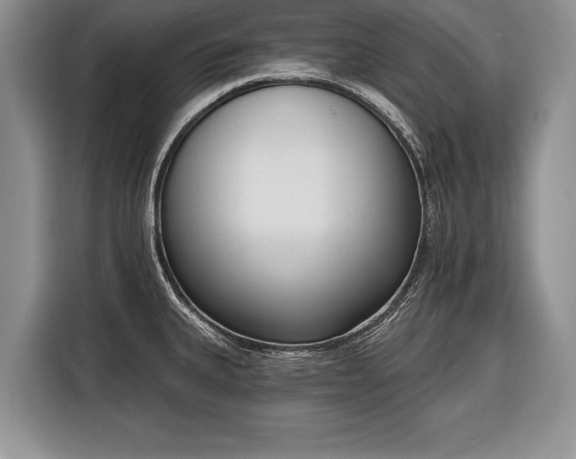 X0000116381335200912091407