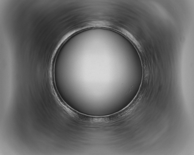 X0000116381339200912091407