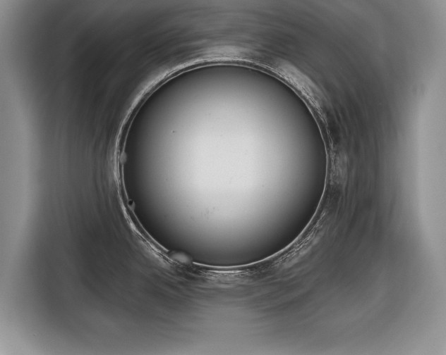 X0000116381342200912091407