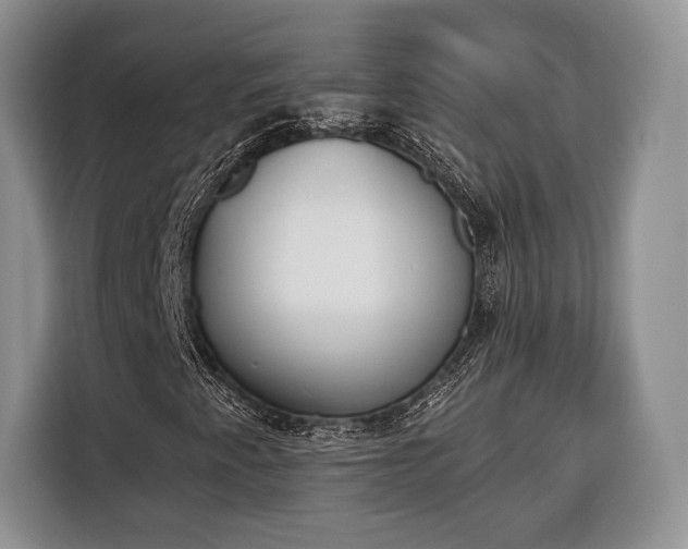 X0000116381345200912091406