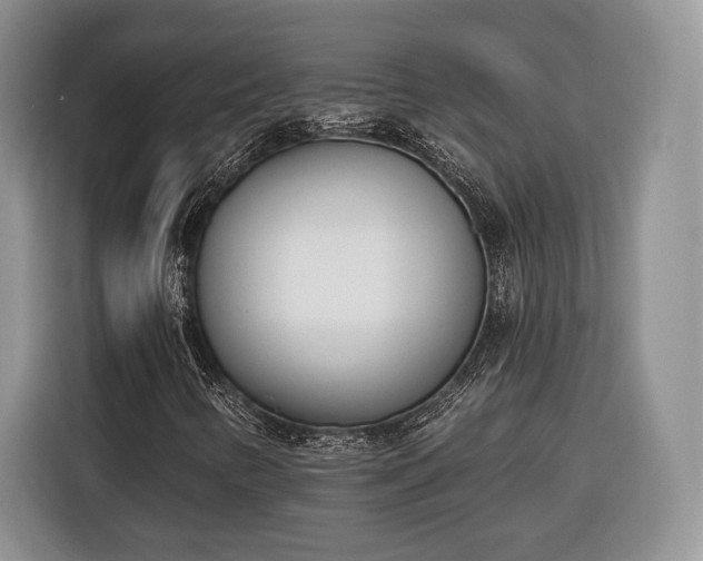 X0000116381346200912091406