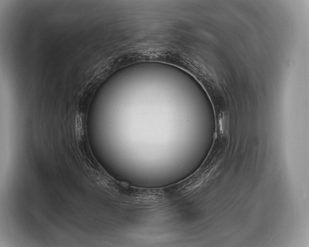 X0000116381347200912091406