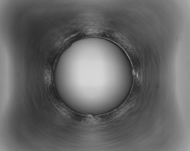 X0000116381348200912091406