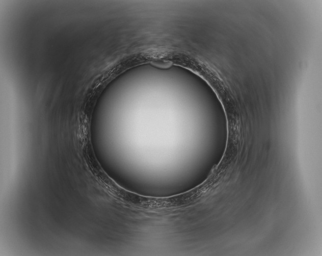 X0000116381349200912091406