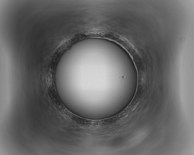 X0000116381350200912091406