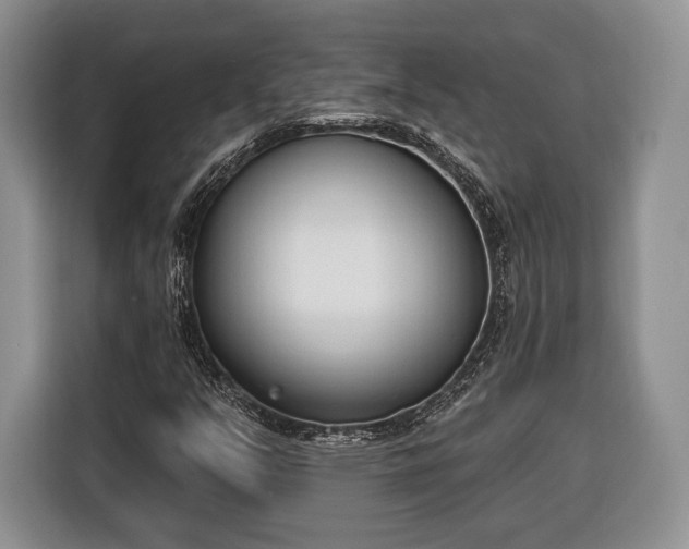 X0000116381351200912091406