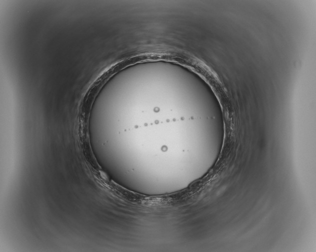 X0000116381352200912091406