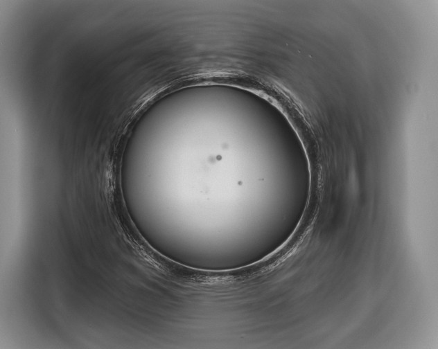 X0000116381353200912091406