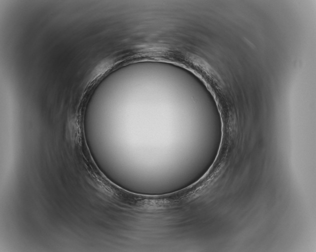 X0000116381354200912091406