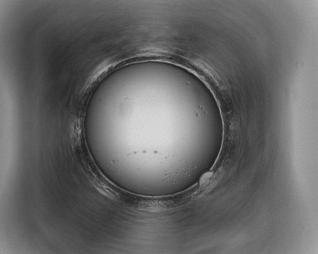 X0000116381355200912091406
