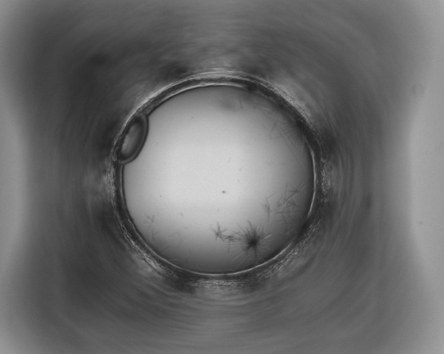 X0000116381356200912091406