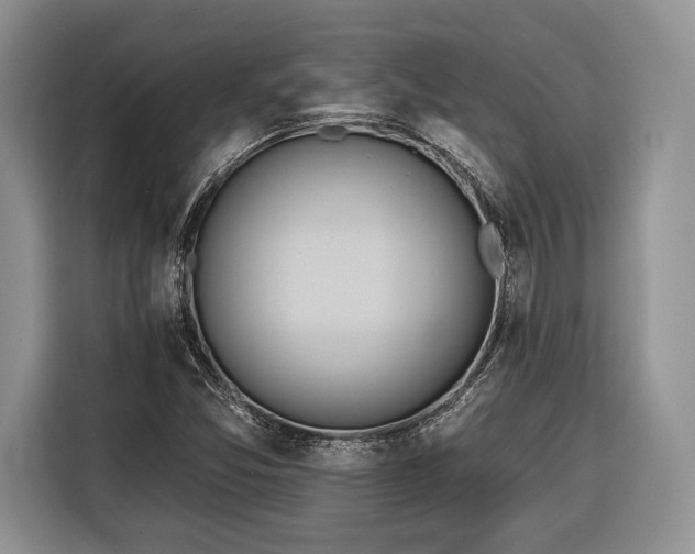 X0000116381357200912091406