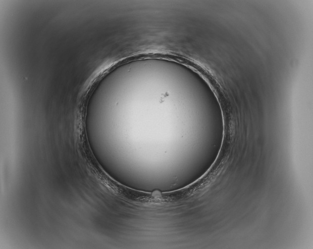 X0000116381359200912091406