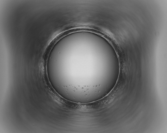 X0000116381360200912091406