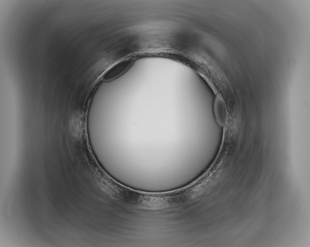 X0000116381361200912091406