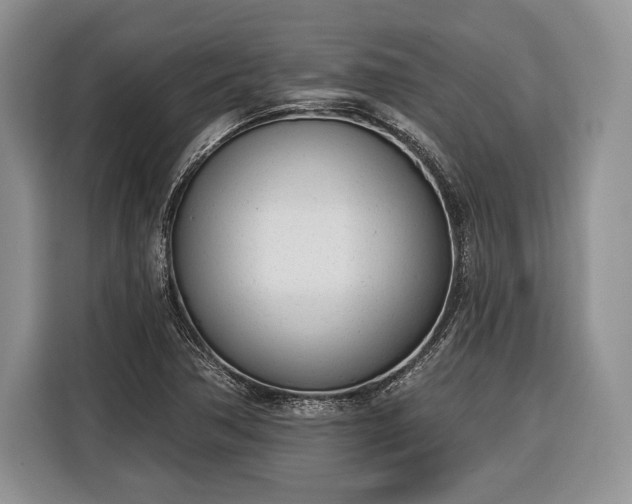 X0000116381362200912091406