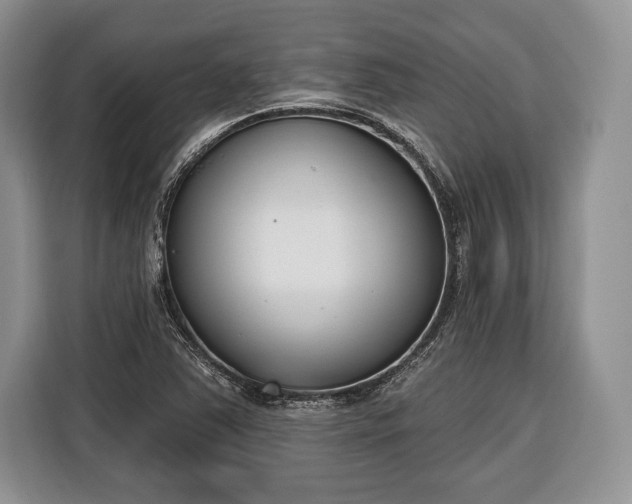 X0000116381363200912091406