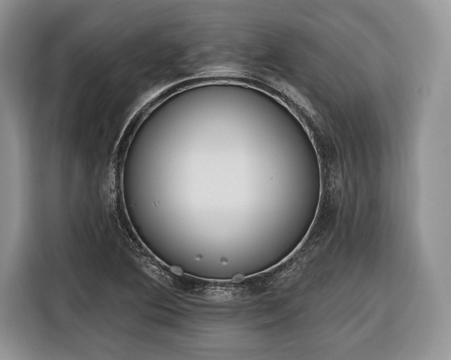 X0000116381364200912091406