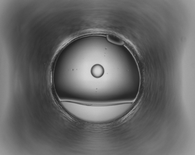 X0000116381365200912091406
