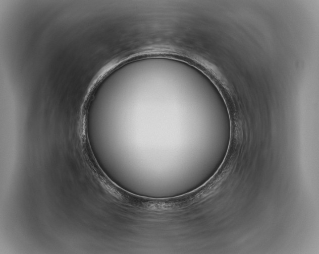 X0000116381366200912091406