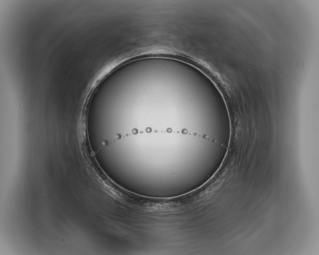 X0000116381367200912091406
