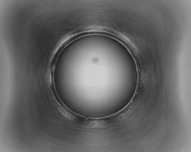 X0000116381368200912091406